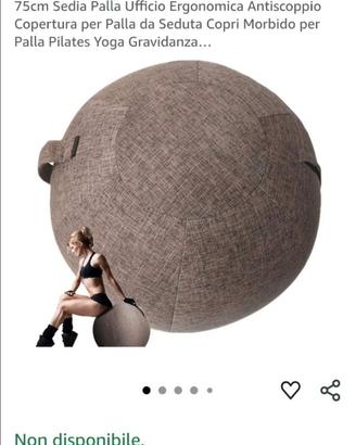 Fitball