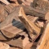 Legna da ardere secca e asciutta