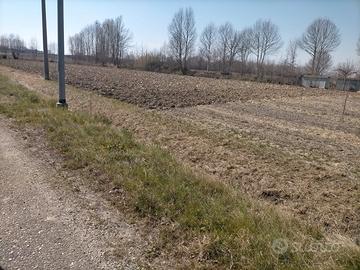 Terreno edificabile e agricolo