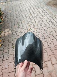 cupolino in carbonio monster 