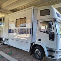 Van trasporto cavalli