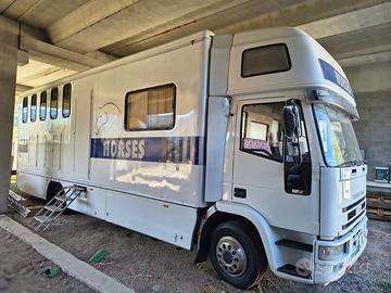 Van trasporto cavalli