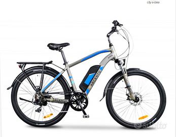 Bici e-bike Argento Alpha