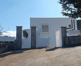 Villa indipendente con ampio giardino