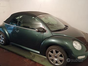 New beetle