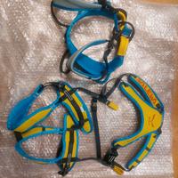 Coppia imbragatura Salewa Bambino Rookie Explorer