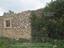 Immagine 7