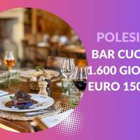 Bar bistrò con cucina, 1.600 al giorno