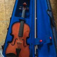 Violino