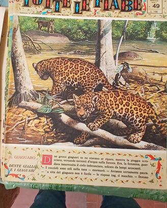 Tutte le fiabe anni 60