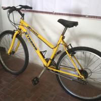 Bicicletta da donna
