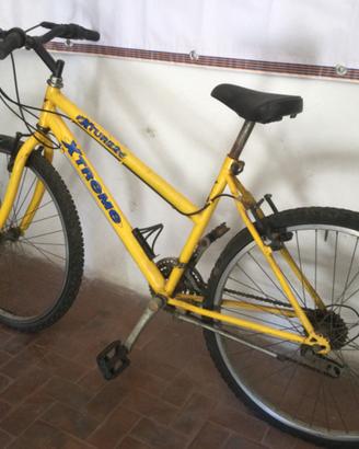 Bicicletta da donna