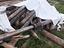 Immagine 1