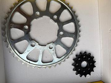 Pignone e corona z900