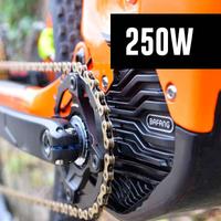 Kit  trasformazione bici elettrica Bafang 250W