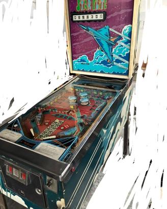 Flipper Williams Starl Flite 1975
