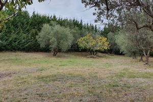 Terreno edificabile 1300 mq pianeggiante