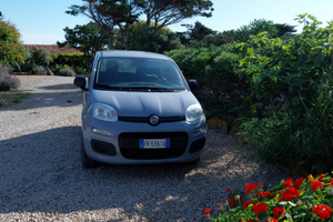 Panda in perfette condizioni