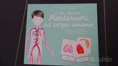 Cofanetto Montessori del Corpo Umano
