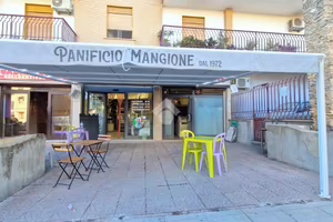 ATTIVITÀ A PALERMO