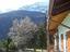 Immagine 5