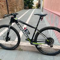 Mtb cannondale carbonio 29