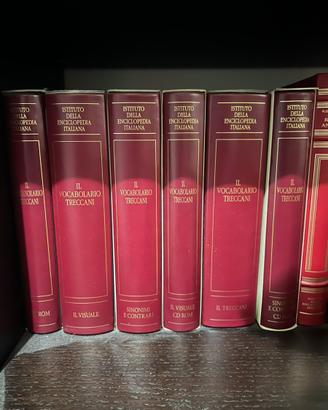 Il Vocabolario Treccani