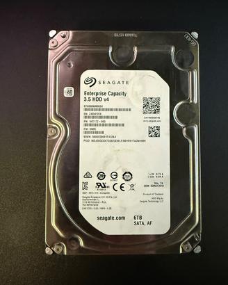 2× HDD Seagate Enterprise 6 TB SATA 3,5" 7200 RPM