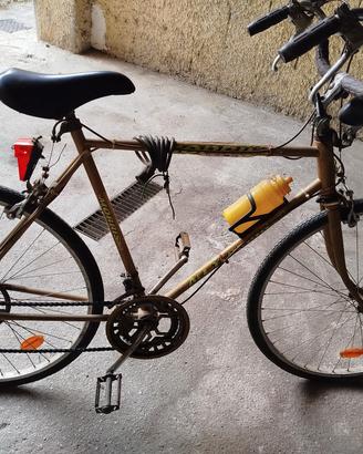 bici sportiva 