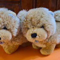 Coppia cagnolini Trudi