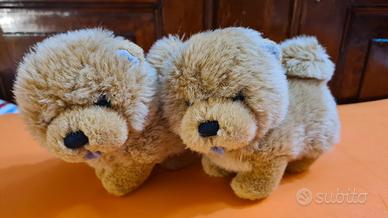 Coppia cagnolini Trudi