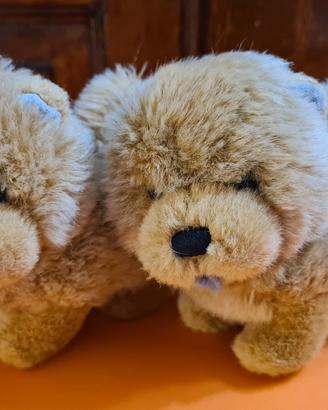 Coppia cagnolini Trudi