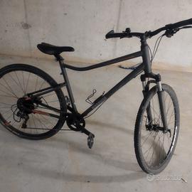 bici da passeggio 
