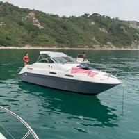 Sea ray 230