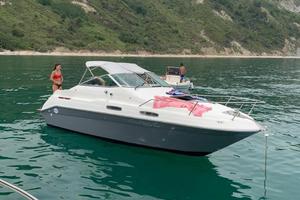 Sea ray 230