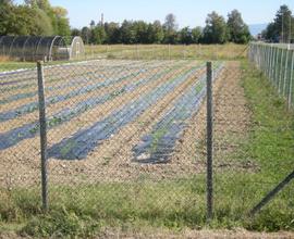 Terreno agricolo con strutture x vivaismo