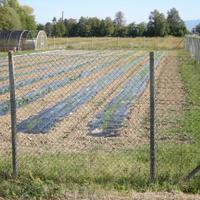 Terreno agricolo con strutture x vivaismo