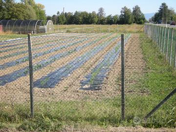 Terreno agricolo con strutture x vivaismo