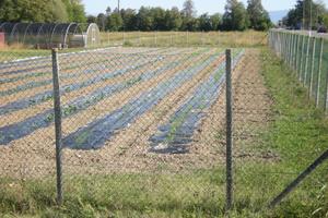 Terreno agricolo con strutture x vivaismo