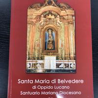 Santa Maria di Belvedere di Oppido Lucano