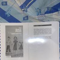 Attili - L’amore imperfetto