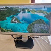 Monitor da 24 pollici Philips Professional