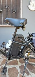 bicicletta elettrica con pedalata assistita