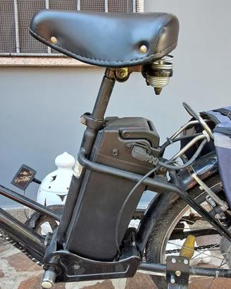 bicicletta elettrica con pedalata assistita