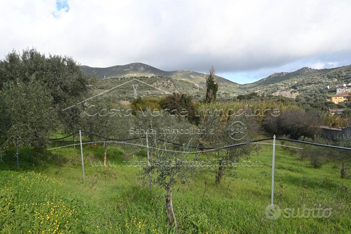 Arbus - Terreno con fabbricato - Vista 4