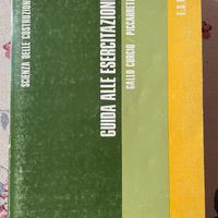 Scienza delle Costruzioni - Guida Esercitazioni