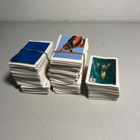 Lotto di 200+ carte del WWF animali