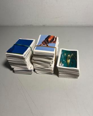 Lotto di 200+ carte del WWF animali