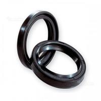 Coppia paraolio forcella ariete honda sh 300