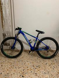 Mountain bike Torpado